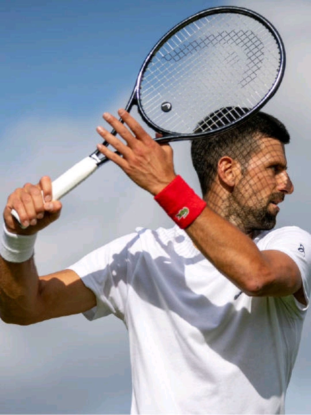 开云体育-温网逆转ATP总决赛，德约科维奇高光表现的简单介绍