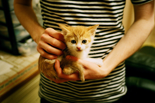 开云sport-足球之夜，篮球之星，范弗利特诠释何为稳定输出不掉线