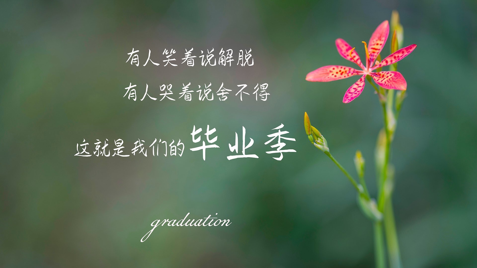 开云体育官网-孤独耀眼的星辰，爱德华兹爆发之夜，骑士鏖战加时擒奇才