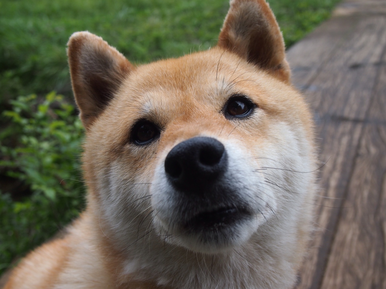 唯一性胜利,富安健洋如何重新定义统治全场