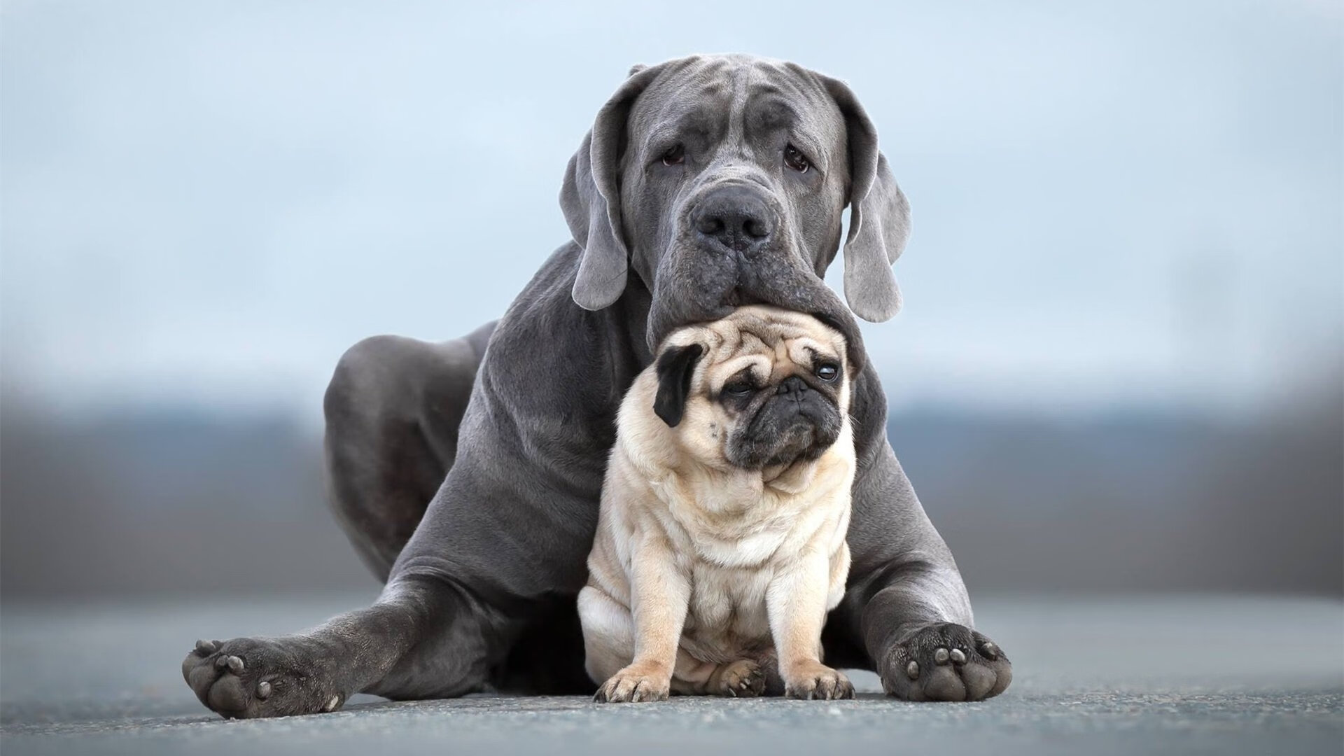 开云体育中国-魔幻夜与冷酷刀，迪巴拉在奥运齿轮下的唯一绝响