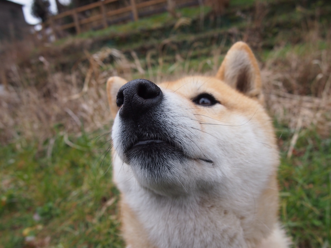 开云体育登录-三十一，从托蒂到马尔蒂尼，米切尔的数字书写意甲新传承