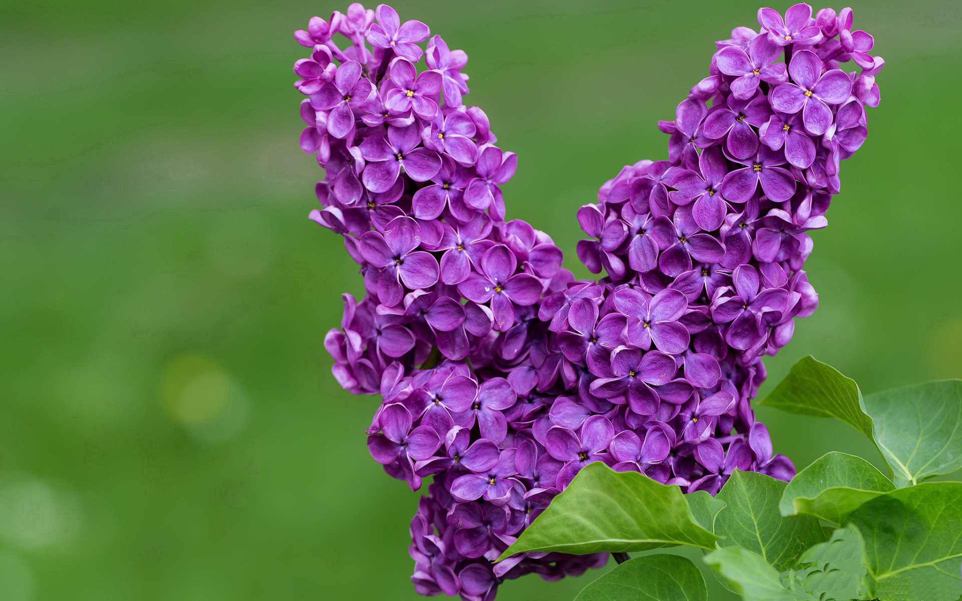 一剑封喉！年度焦点之战，伊萨克绝杀时刻定乾坤