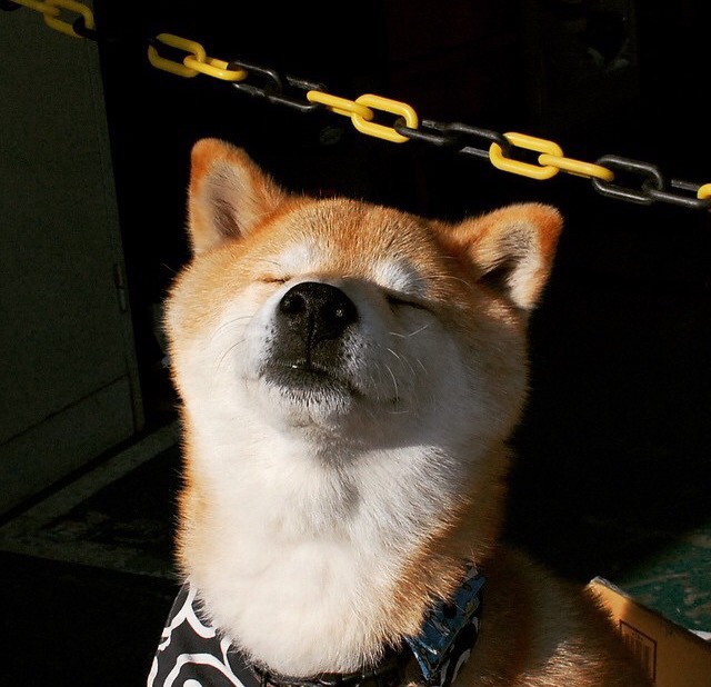 开云体育官网-风暴与时钟，勒沃库森、牙买加与若日尼奥的节奏博弈