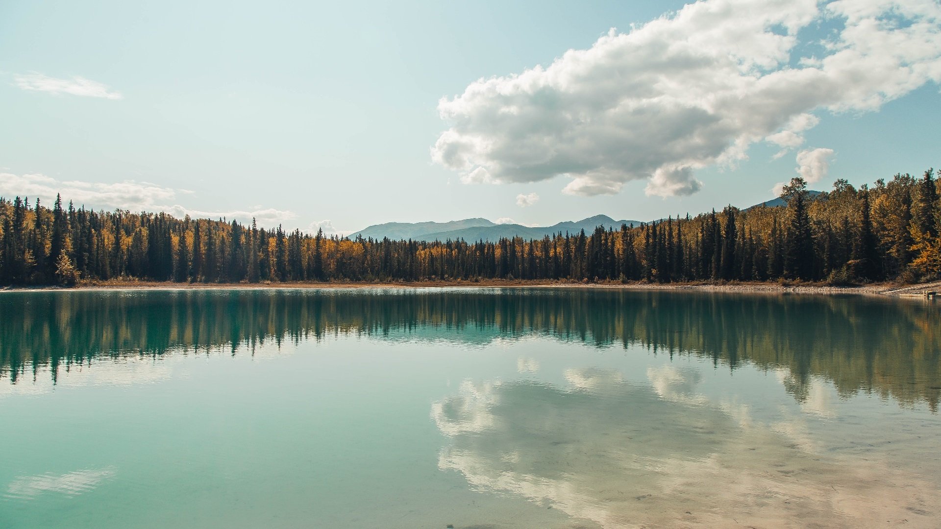 当国王在联合中心下跪，公牛铁蹄如何踏碎萨克拉门托最后的骄傲