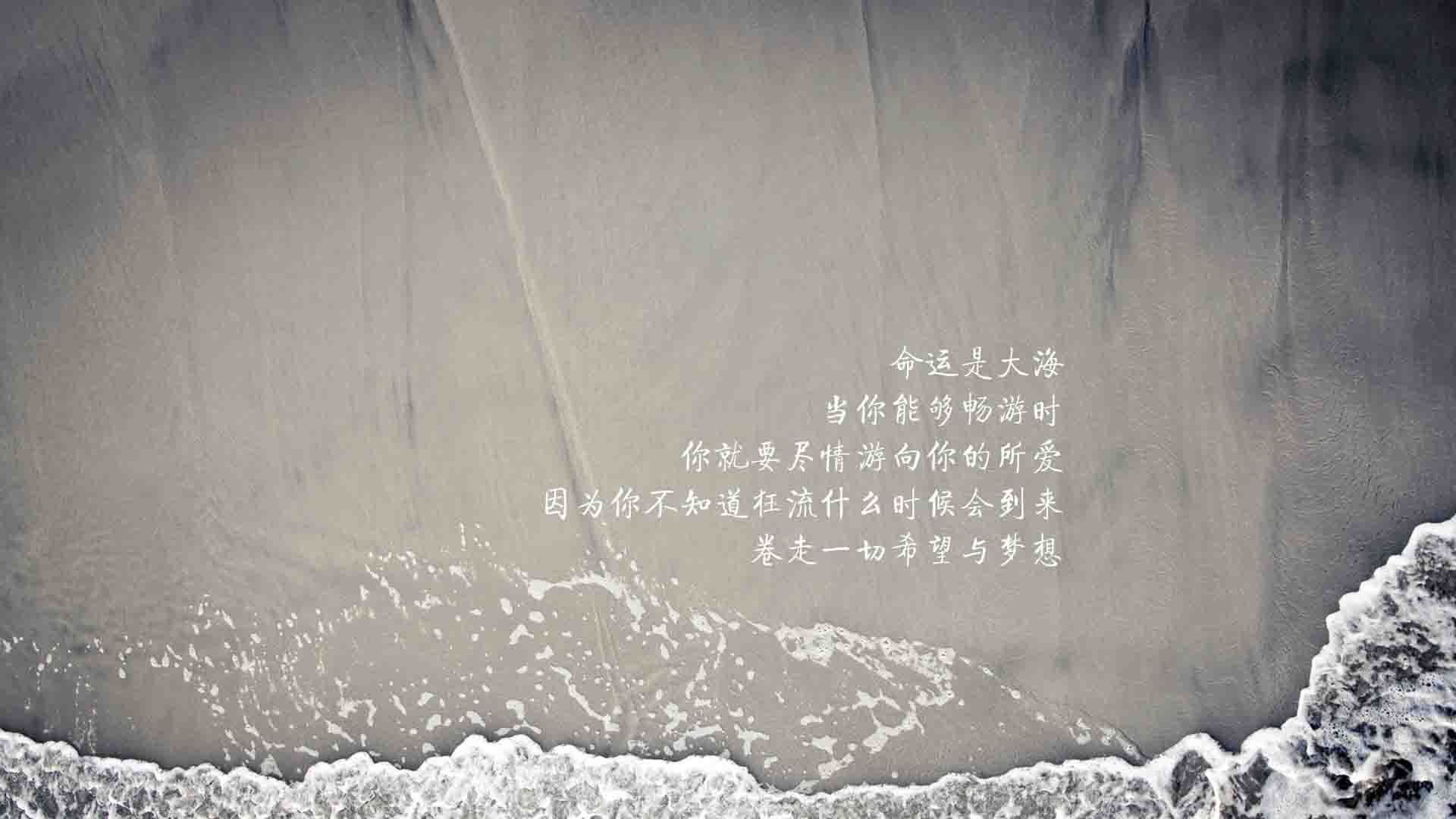 开云体育在线-冠军之师的黄昏，萨卡幻影舞步撕裂阿根廷，南美双雄决战演绎世界杯经典